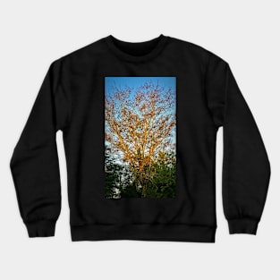 Forest from the Tree Crewneck Sweatshirt